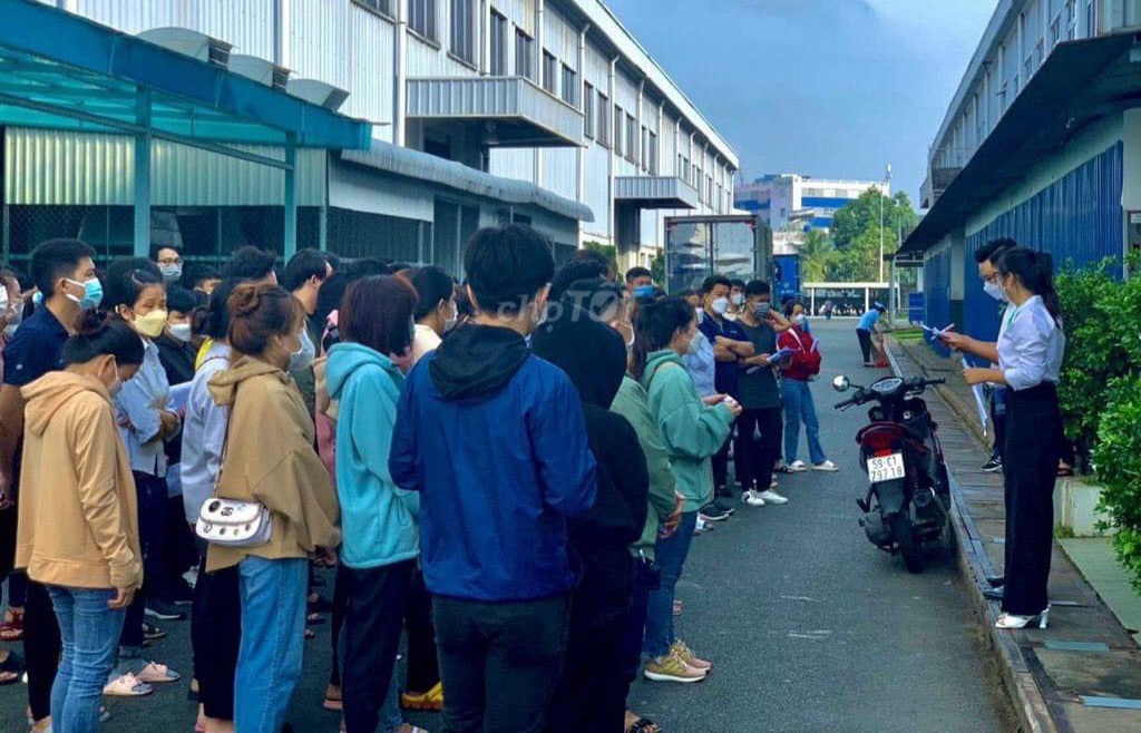 Cho thuê, Cung ứng Lao Động tại Tân Trụ theo giờ, ngày, thời vụ - Hưng Phát Cho thuê Lao Động tại Tân Trụ theo giờ, ngày, thời vụ - Hưng Phát