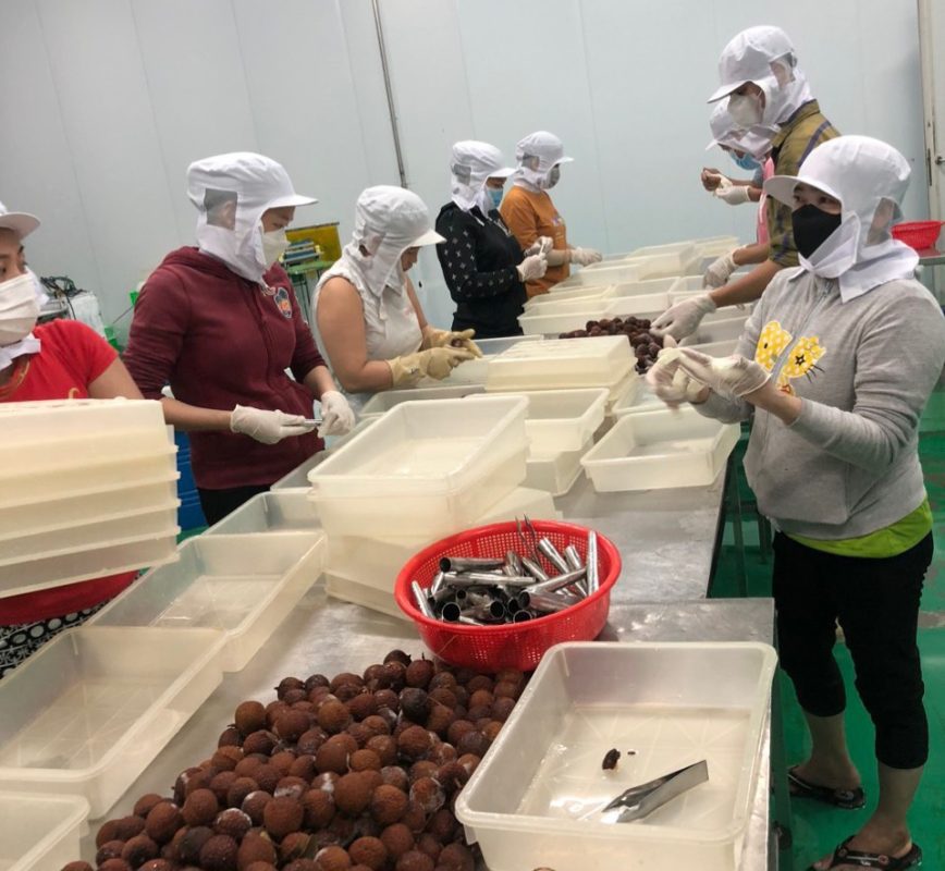 Cho thuê Lao Động Phổ Thông⭐️theo giờ, ngày, tháng Cho thuê Lao Động Phổ Thông⭐️Cung ứng nhân lực giá rẻ