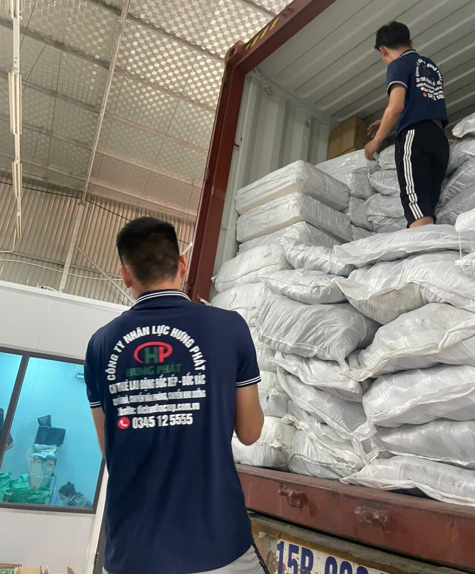 Cung ứng lao động 24h