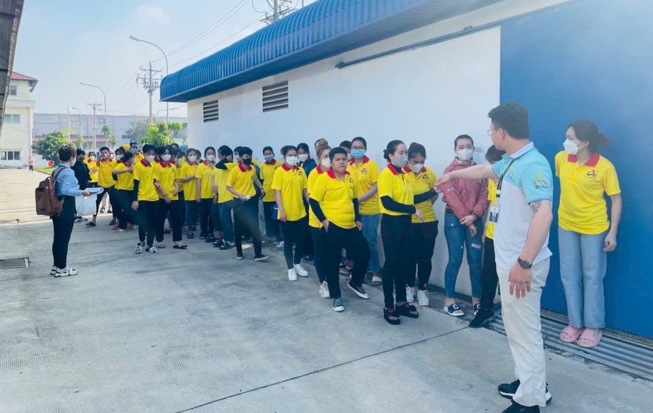 Cho thuê lao động KCN Đồ Sơn, Hải Phòng linh hoạt