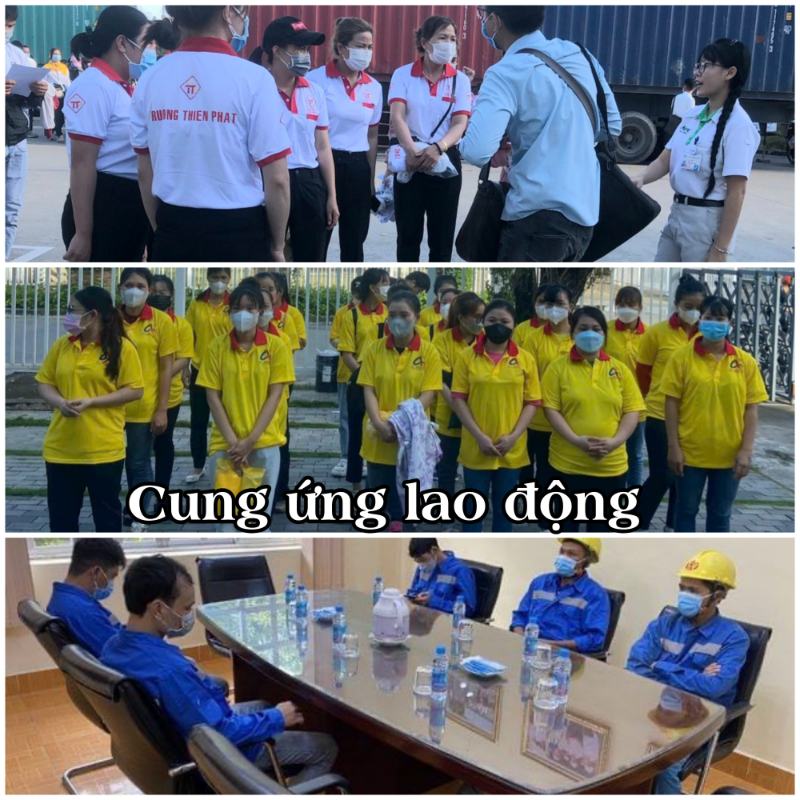 Cung ứng lao động TPHCM - Nguồn nhân lực uy tín nhanh 24h