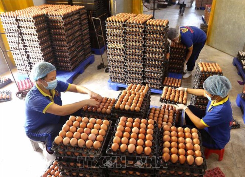 Cung ứng nhân lực Tây Ninh đáp ứng nhanh, làm việc ngay