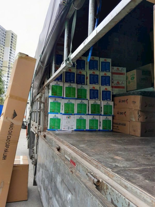Dịch vụ bốc xếp container xe nâng, xe cẩu chuyên nghiệp 24/7