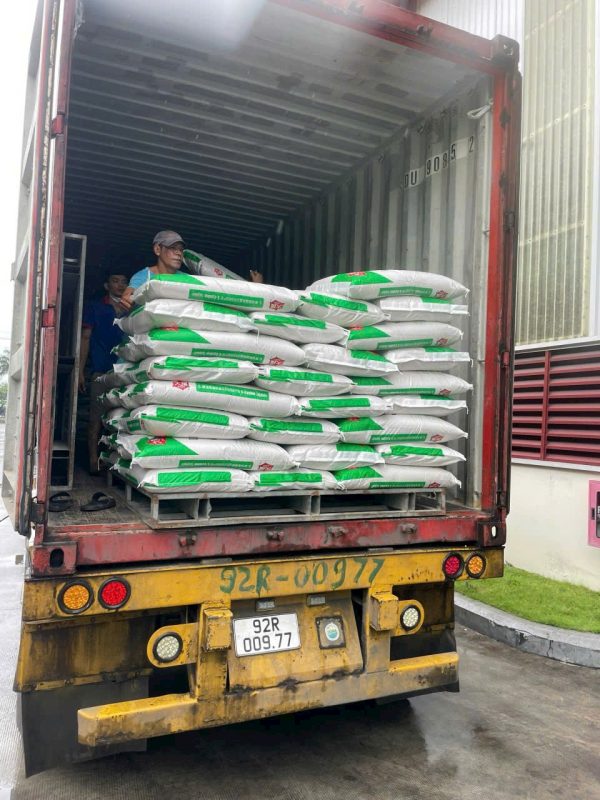 Dịch Vụ Bốc Xếp Sóc Trăng Theo Giờ, Ngày, Ca, Hợp Đồng Dài Hạn